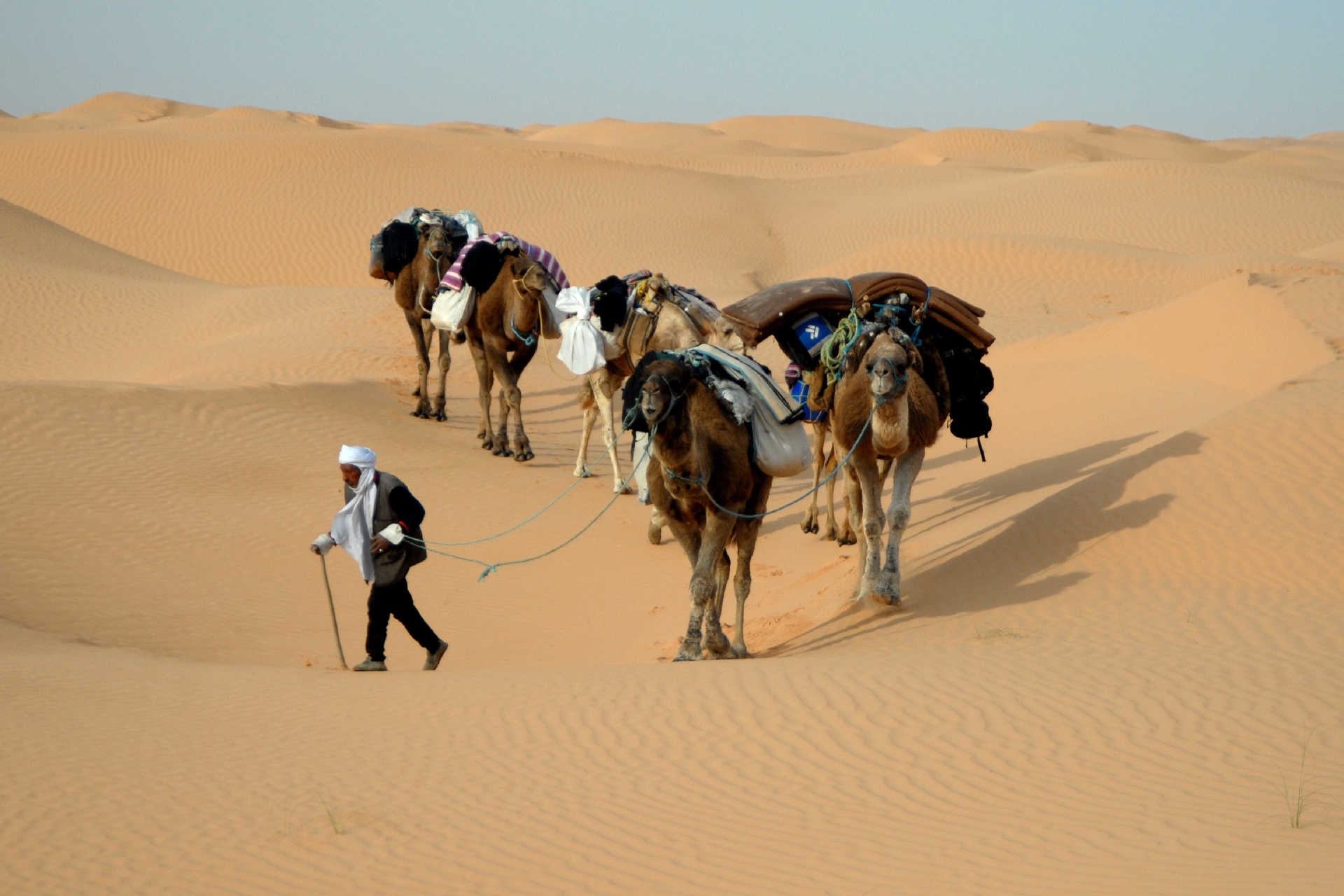 Mann mit beladenen Kamelen zieht durch Sanddünen in der Sahara