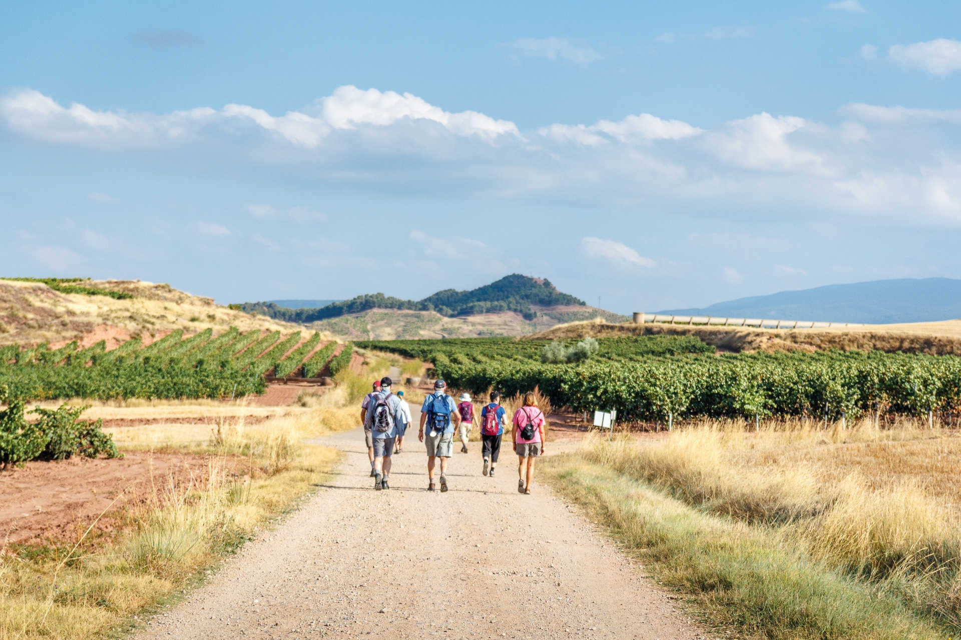 Pilgergruppe auf breitem Weg durch Weinberge in Nordspanien bei Sonnenschein