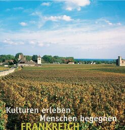 Herbstliche Weinreben mit Gutshäusern unter blauem Himmel in hügeliger Region