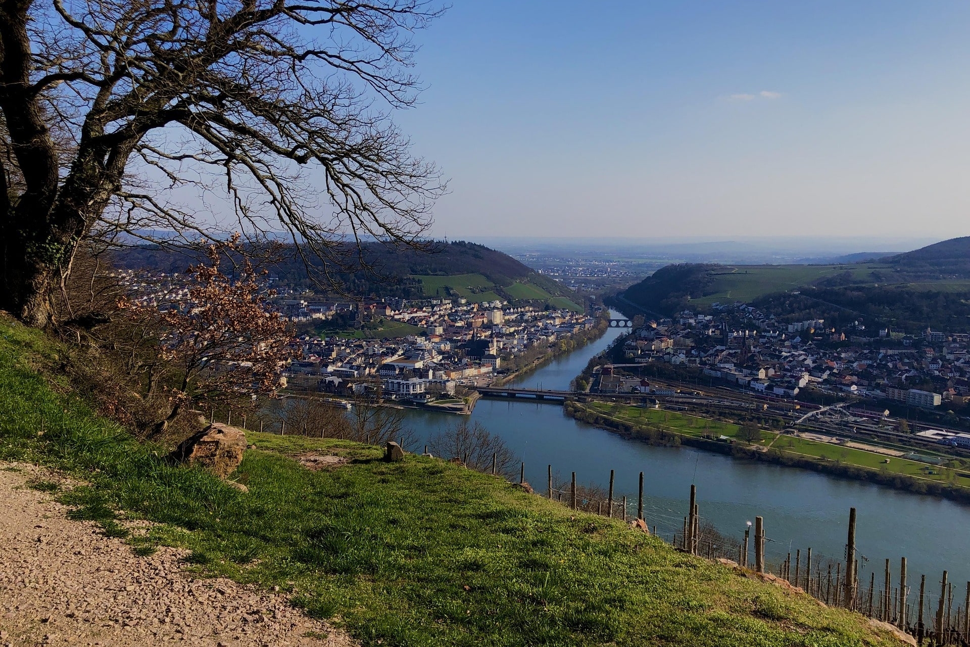 Aussicht auf Stadt am Fluss mit Brücken und Weinbergen
