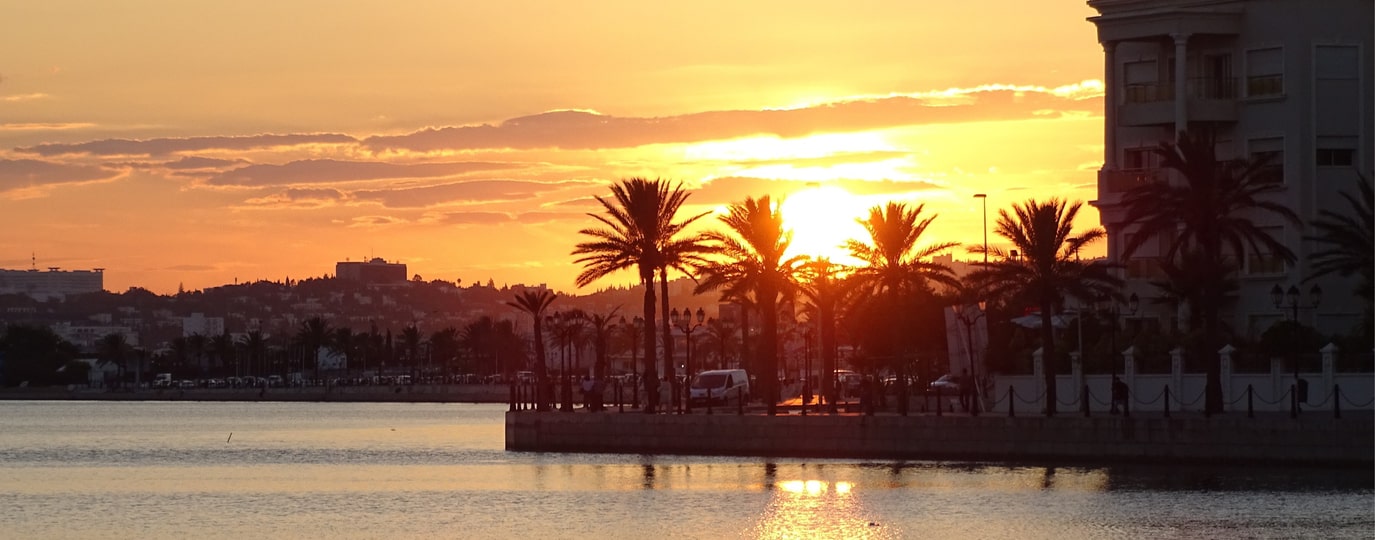 Palmen und Uferpromenade im Gegenlicht der untergehenden Sonne in Tunis