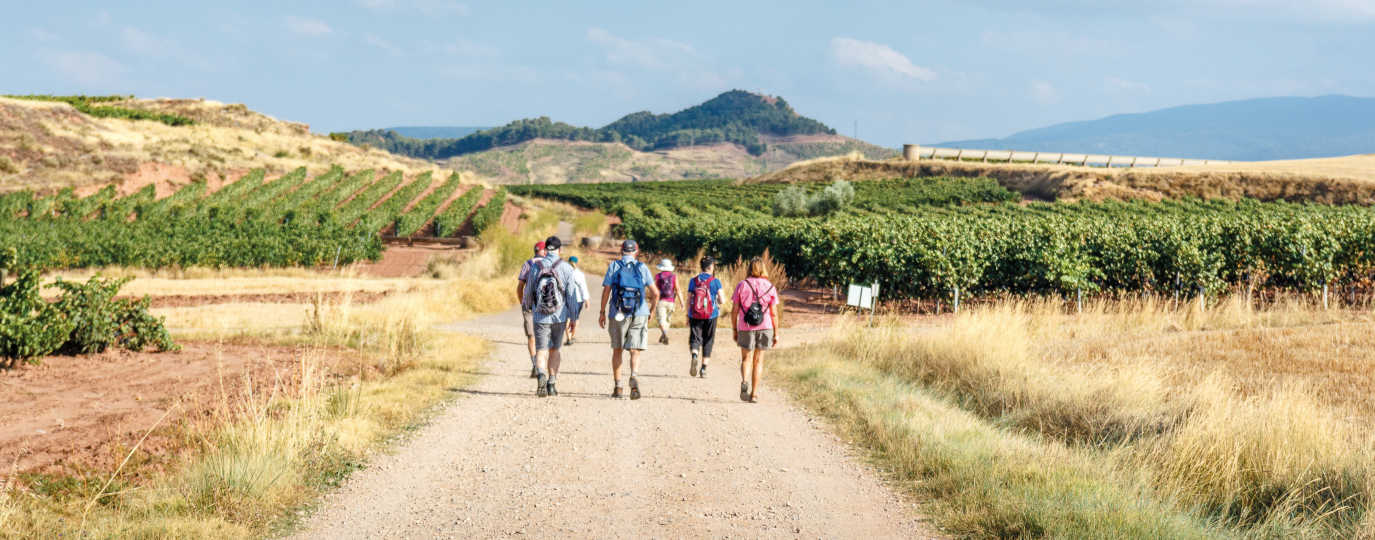 Menschen wandern bei Sonnenschein durch weite Felder und Weinberge auf dem berühmten Jakobsweg in Spanien